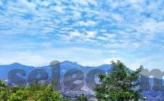怎么查足球杯比分-掌握这些方法,轻松查询足球杯比分